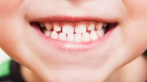 regrow teeth